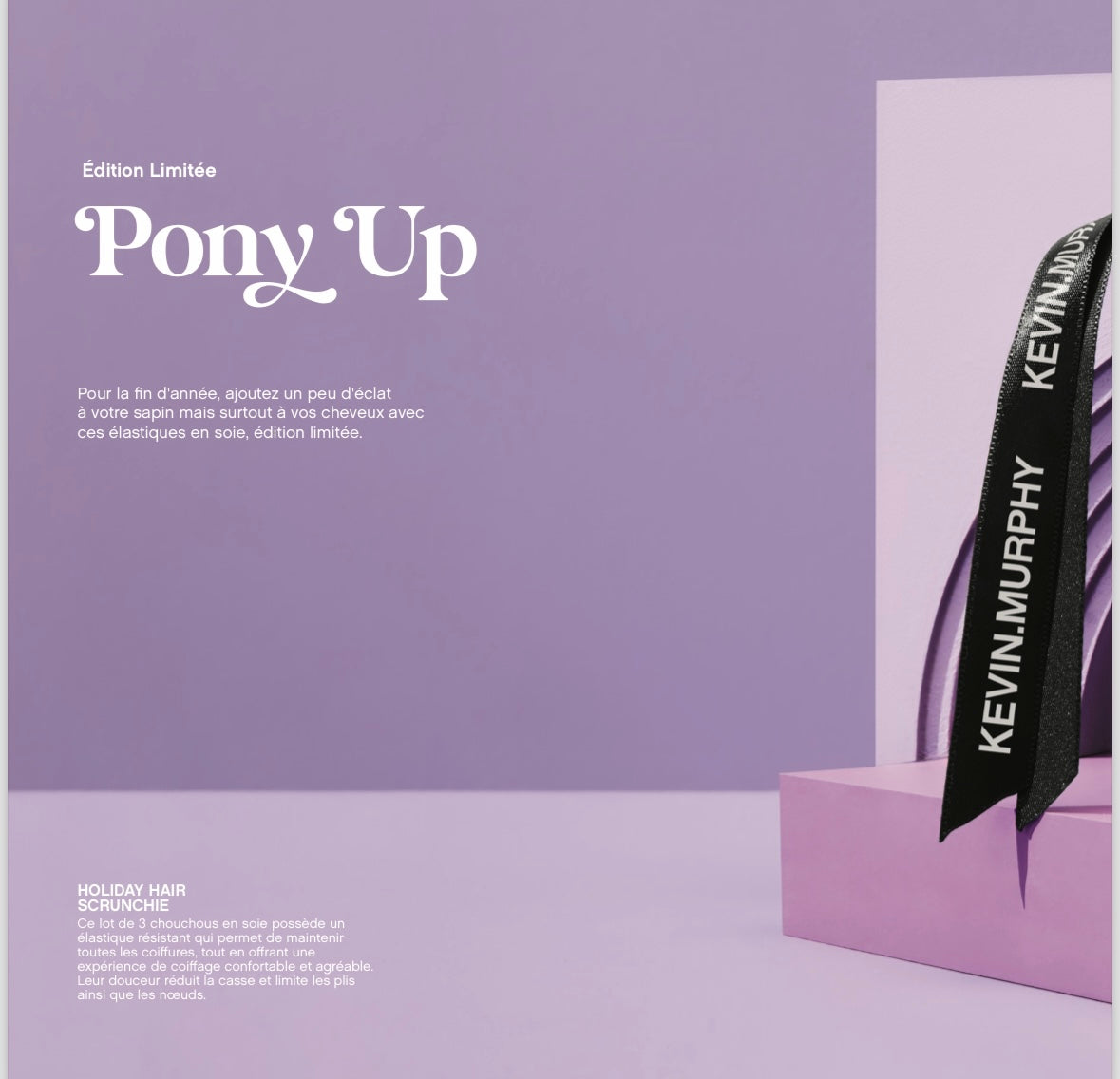 PONY UP ✨